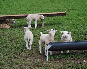 Comfortable living room in NH010 vacation home, Den Burg, Texel, Wadden Islands