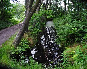 Sheep in the meadow near NH010 vacation home, Den Burg, Texel, Wadden Islands