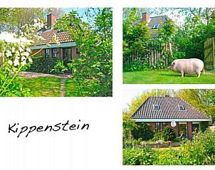 Guest house 010415 - Holiday property Texel - De Baronie