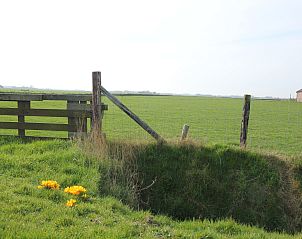 Unterkunft 0104196 - Ferienhaus Texel - Tempelier 39