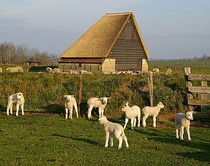 Guest house 0104207 - Holiday property Texel - Tempelier 39