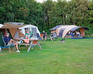 Guest house 0104224 - Holiday property Texel - Camping de Hoge Kamp