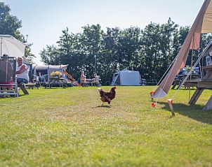 Guest house 0104224 - Holiday property Texel - Camping de Hoge Kamp