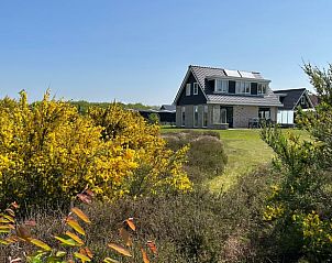 Vakantiehuisje in Den Burg omgeven door bloeiende struiken in Texel, Waddeneilanden.