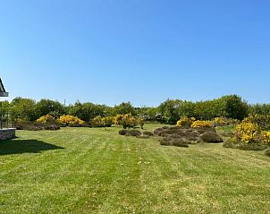 Groene tuin bij Vakantiehuisje in Den Burg met kleurrijke flora in Texel, Waddeneilanden.