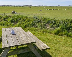 Picknicktisch mit Blick auf die Felder im Bungalow Het Lam, Texel. Genieen Sie die Natur in Den Burg auf den Watteninseln.