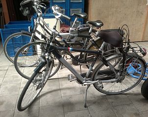 Unterkunft 010481 - Ferienhaus Texel - De Bedstee