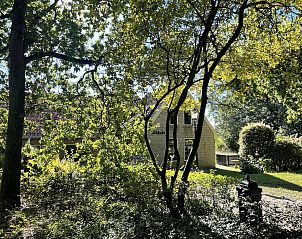 Shady garden of 44 - Aldubo Landhuis, Den Burg, Texel, with lots of greenery.