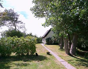 Unterkunft 0105102 - Ferienhaus Texel - Nieuwegrachtje