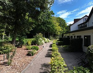 Guest house 0105111 - Holiday property Texel - 42884