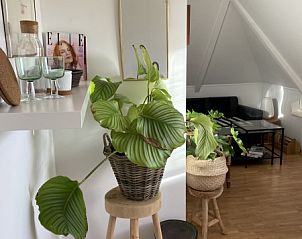 Unterkunft 010527 - Ferienhaus Texel - Tweepersoons studio 2/3