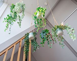 Unterkunft 010531 - Ferienhaus Texel - De Waddenhof - Uitzicht op Texel