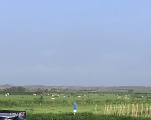 Uitzicht op groene weiden en schapen bij vakantiehuis 4780 - Van der EL in Den Hoorn, Texel.