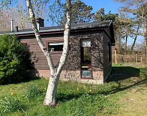 Unterkunft 010537 - Ferienhaus Texel - Huisje in Den Hoorn