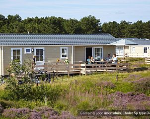 Geniet van de veranda van Chalet Hors 5p in Den Hoorn, Texel, met uitzicht op de prachtige natuur van de Waddeneilanden.
