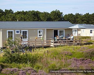 Guest house 010538 • Holiday property Texel • Chalet Hors 5p 
