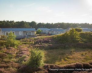 Verken de natuurlijke schoonheid rondom Chalet Hors 5p in Den Hoorn, Texel, gelegen op de rustgevende Waddeneilanden.