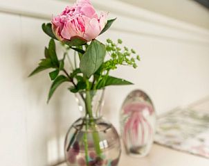 Unterkunft 010540 - Ferienhaus Texel - Johanneshoeve - Pipowagen