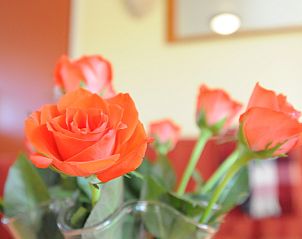 Guest house 010555 - Holiday property Texel - Appartement Rood