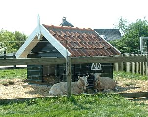 Guest house 010555 - Holiday property Texel - Appartement Rood