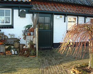 Unterkunft 010556 - Ferienhaus Texel - Appartement Groen