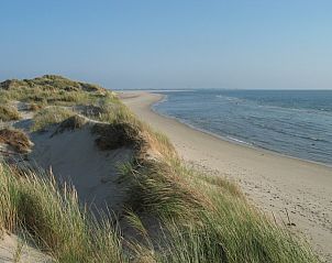 Unterkunft 010565 - Ferienhaus Texel - Mierennest