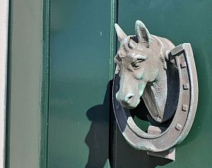 Decoratieve deurklopper in de vorm van een paard bij Vakantiehuisje Den Hoorn Texel.