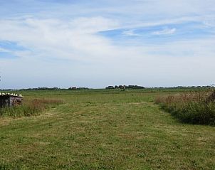 Unterkunft 010568 - Ferienhaus Texel - Huisje in Den Hoorn