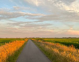 Unterkunft 010568 - Ferienhaus Texel - Huisje in Den Hoorn