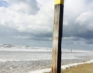 Unterkunft 010568 - Ferienhaus Texel - Huisje in Den Hoorn