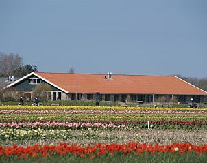 Guest house 010573 • Holiday property Texel • De Stolp III **** 