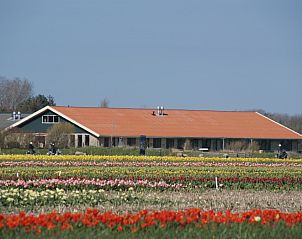 Unterkunft 010573 • Ferienhaus Texel • De Stolp III **** 