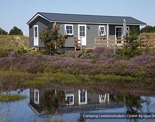 Unterkunft 010584 - Ferienhaus Texel - Chalet Geul 4p