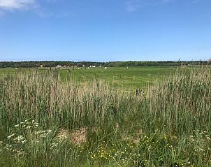 Unterkunft 010596 - Ferienhaus Texel - Westewind 2 pers.