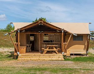 Guest house 010599 - Holiday property Texel - Safari Lodge