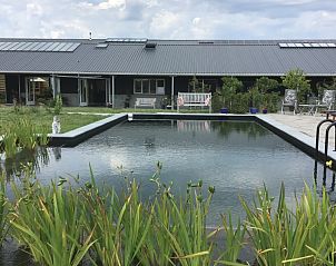 Natuurlijke zwemvijver bij De Borage Texel, Oosterend, omgeven door groen en comfortabele ligstoelen voor ontspanning.