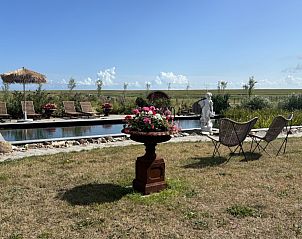 Zonnige tuin van De Borage Texel, Oosterend, met zwembad en kleurrijke bloemen voor een serene vakantie-ervaring.