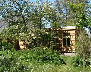 Zonnige tuin met parasol bij De Fazant, vakantiehuis in Oosterend, Texel, ideaal voor ontspannen buiten.