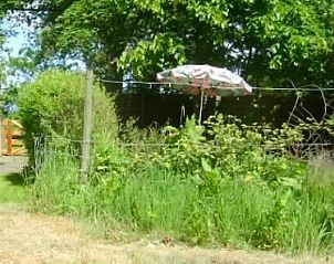 Uitzicht op tuin met kippen vanuit De Fazant, bungalow in Oosterend, Texel, omgeven door weelderige natuur.