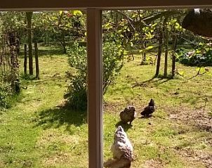 Verblijf 010610 - Bungalow Texel - De Fazant