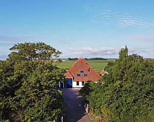Grne Umgebung des Ferienhauses in Oosterend, Texel mit Blick auf Wiesen.