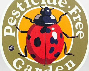 Ruhiger Strand in der Nhe Ferienhaus in Oosterend, Texel fr Entspannung am Meer.