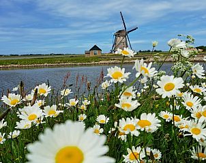 Verblijf 010619 - Vakantiewoning Texel - Caravan met voortent