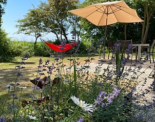 Ruhiger Garten des Ferienhauses Typ II - Nr. 47 Koolmees, Oosterend, Texel, mit Sonnenschirm und Blumen.