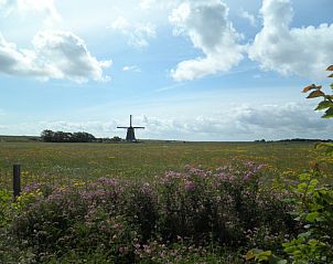 Prachtig uitzicht op de Texelse natuur met molen vanuit De Bemes vakantiehuis Oosterend.