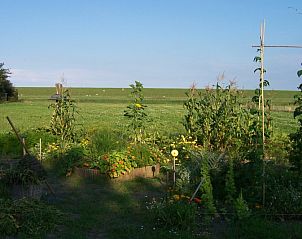 Natuurlijke omgeving met moestuin bij De Bemes vakantiehuis Oosterend Texel.