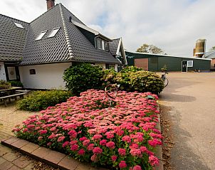 Guest house 010728 - Holiday property Texel - Boerderijcamping Vrije Vogel