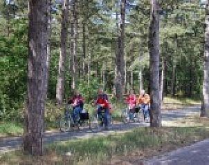 Fietspad door bos nabij Hoogelandt 10 - Awali in De Koog, Texel.