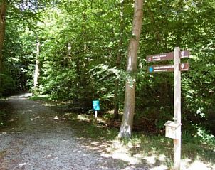 Wandelpaden in de natuur rondom Hoogelandt 10 - Awali, De Koog, Texel.