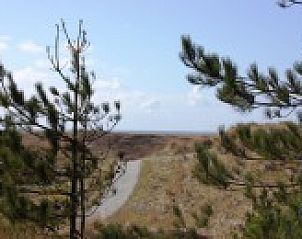 Uitzicht op duinen nabij Hoogelandt 10 - Awali vakantiehuis, De Koog, Texel.